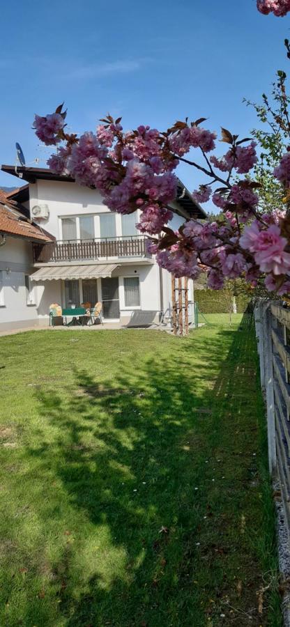 Apartmaji Mojca Križe Dış mekan fotoğraf