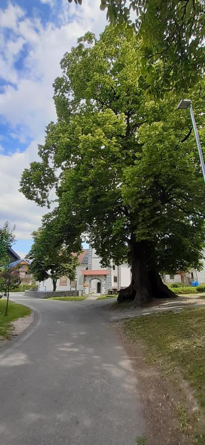 Apartmaji Mojca Križe Dış mekan fotoğraf