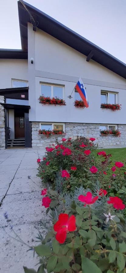 Apartmaji Mojca Križe Dış mekan fotoğraf