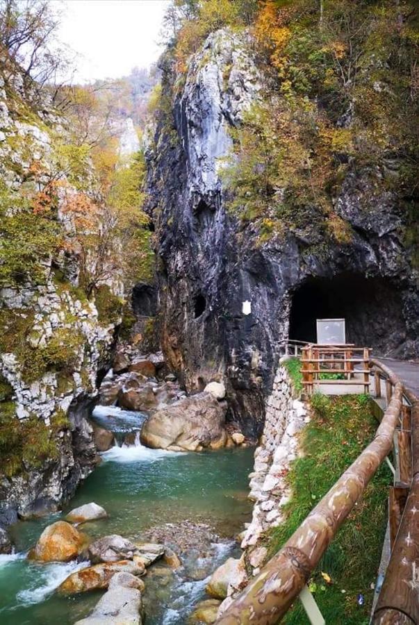 Apartmaji Mojca Konuk evi Križe Dış mekan fotoğraf