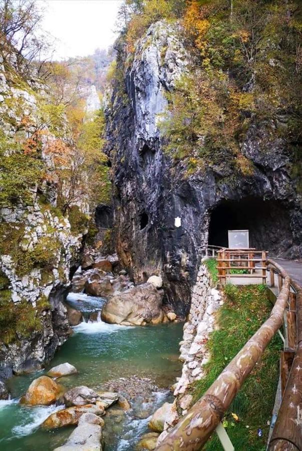 Apartmaji Mojca Križe Dış mekan fotoğraf