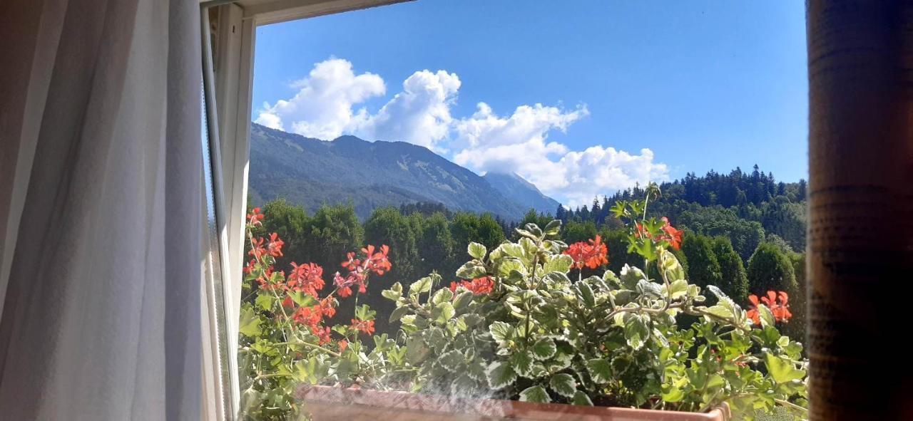 Apartmaji Mojca Križe Dış mekan fotoğraf