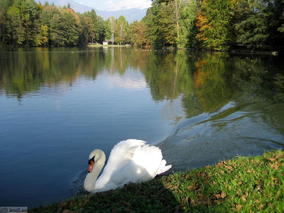 Apartmaji Mojca Križe Dış mekan fotoğraf