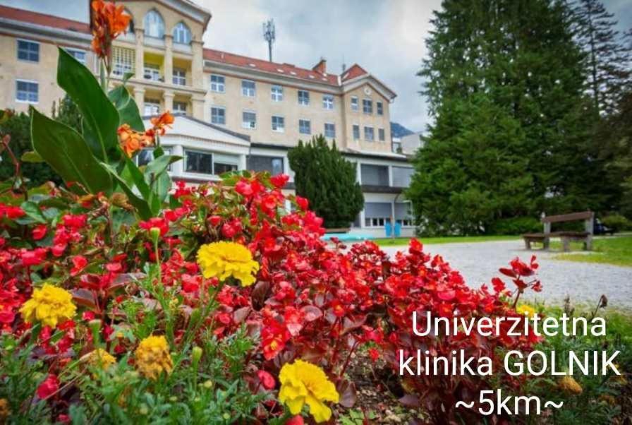 Apartmaji Mojca Križe Dış mekan fotoğraf