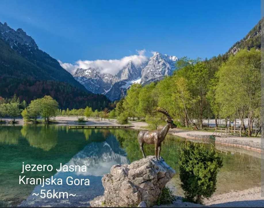 Apartmaji Mojca Križe Dış mekan fotoğraf