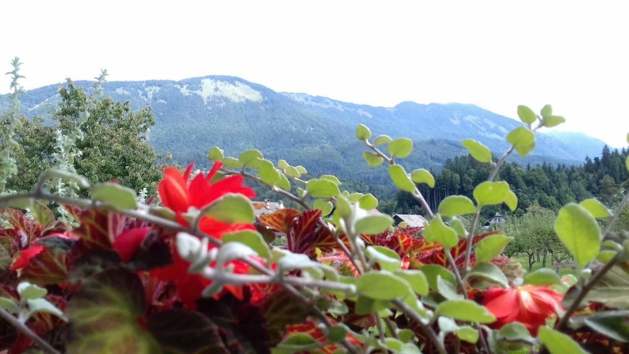 Apartmaji Mojca Križe Dış mekan fotoğraf